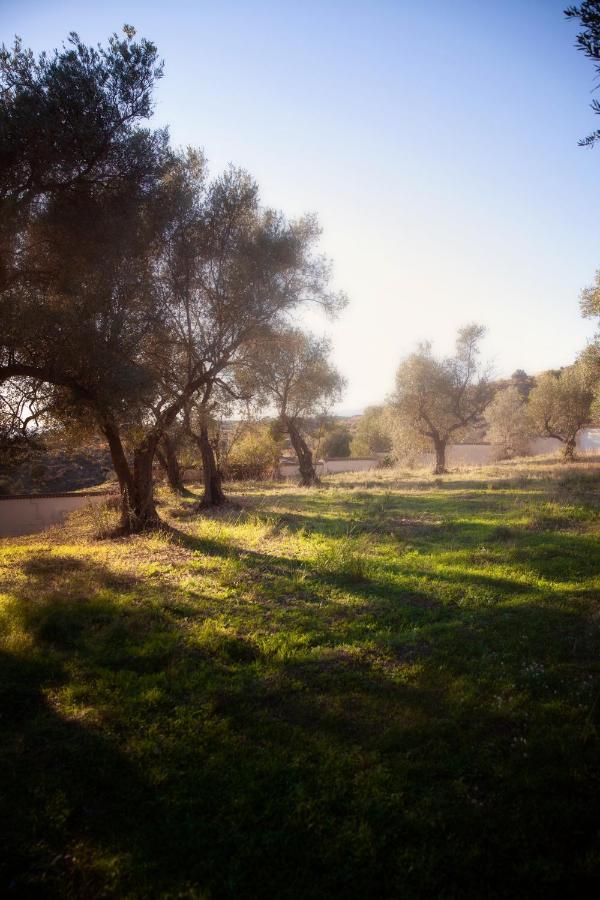 Finca Palmers Dos Mijas Dış mekan fotoğraf
